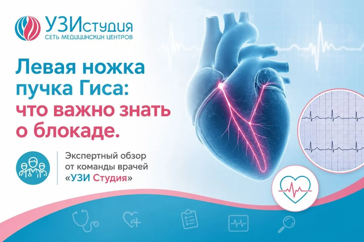 Левая ножка пучка Гиса: что важно знать о блокаде. Экспертный обзор от команды врачей «УЗИ Студия»