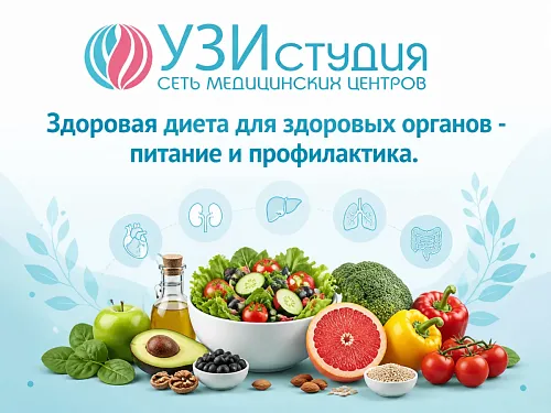 Здоровая диета для здоровых органов - питание и профилактика