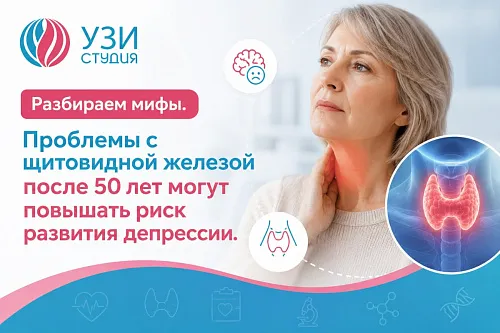 Разбираем мифы: могут ли проблемы с щитовидной железой после 50 лет повышать риск депрессии? Объясняют врачи «УЗИ СТУДИЯ»