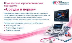 Сосуды в норме