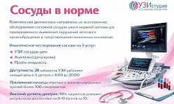 Сосуды в норме
