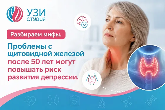 Разбираем мифы: могут ли проблемы с щитовидной железой после 50 лет повышать риск депрессии? Объясняют врачи «УЗИ СТУДИЯ»
