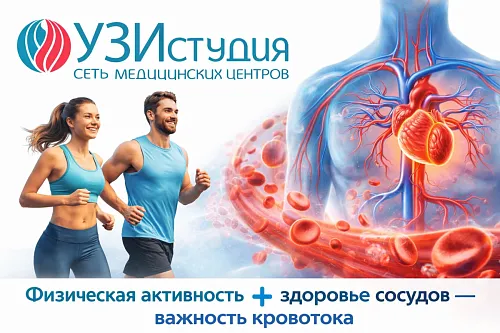 Физическая активность и здоровье сосудов — важность кровотока.