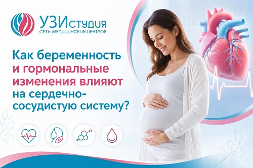 Как беременность и гормональные изменения влияют на сесрдечно-сосудистую систему?